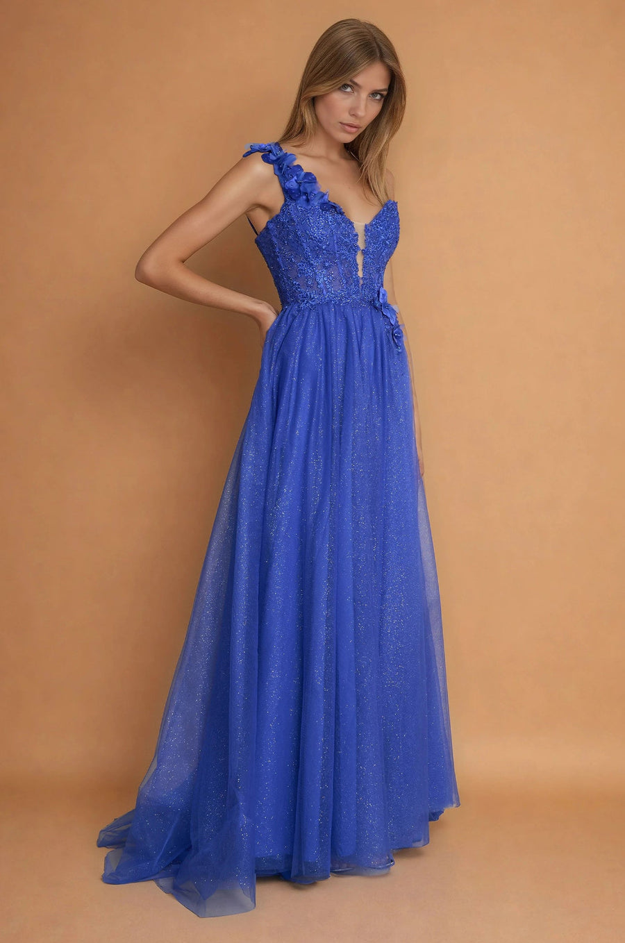 Prom Dresses One Shoulder Lace Prom Ball Gown  Royal Blue