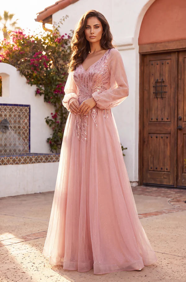 V Neck Long Sleeve Formal Evening Dress Wholesale