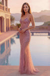 Formal Long Corset Mermaid Sequin Prom Dress Pink