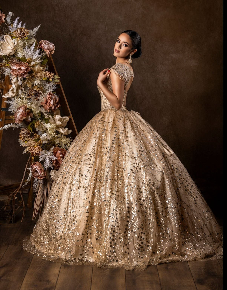 Long Quinceanera Dress Ball Gown Wholesale