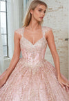 Long Quinceanera Dress Ball Gown Wholesale