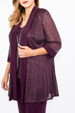 R&M Richards Mother of the Bride Metallic Pantsuit - The Dress Outlet R&M Richards
