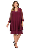 R&M Richards Short Mother of the Bride Formal Dress 8442